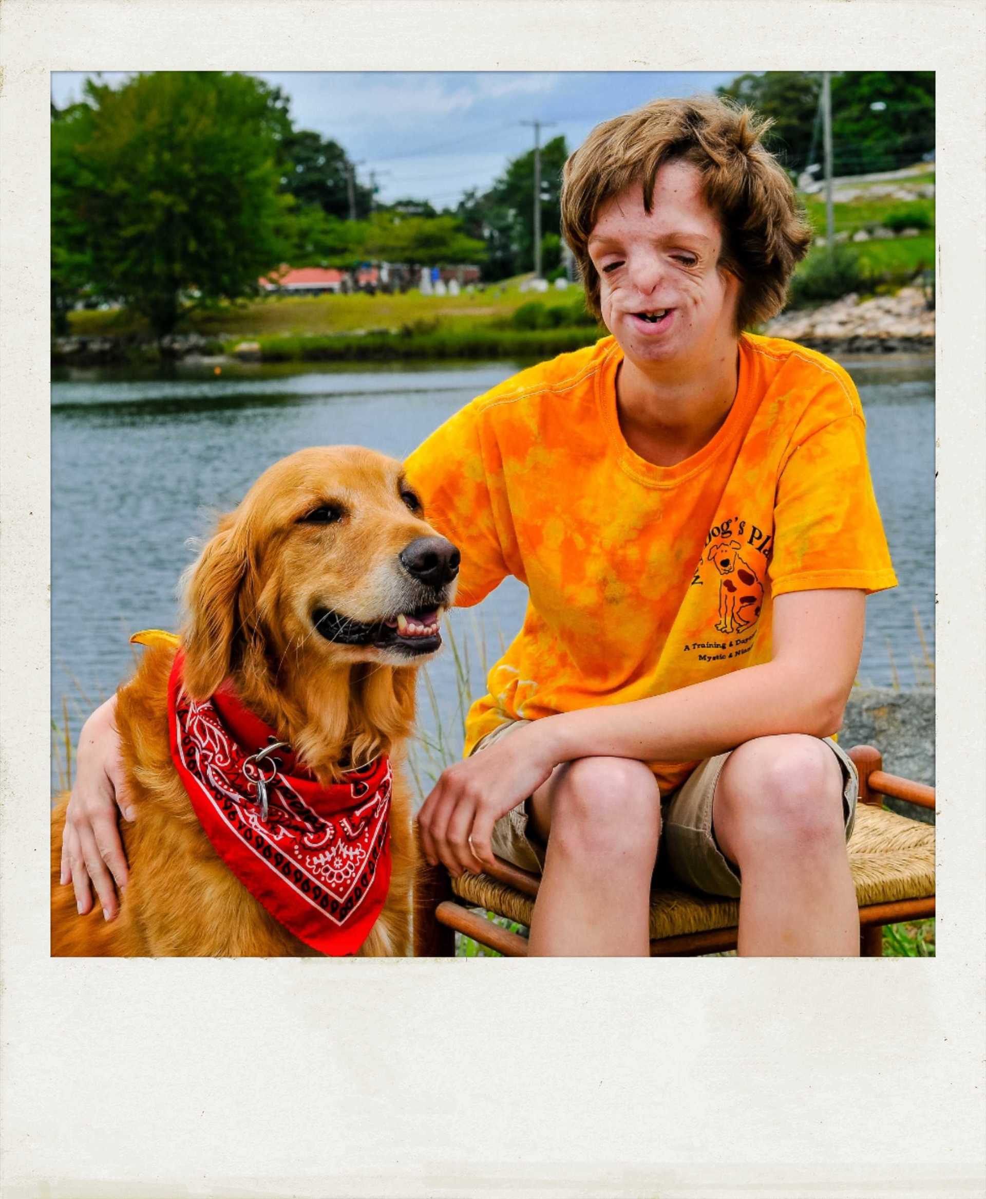 Dog's Daycare Training Methods Stonington, CT