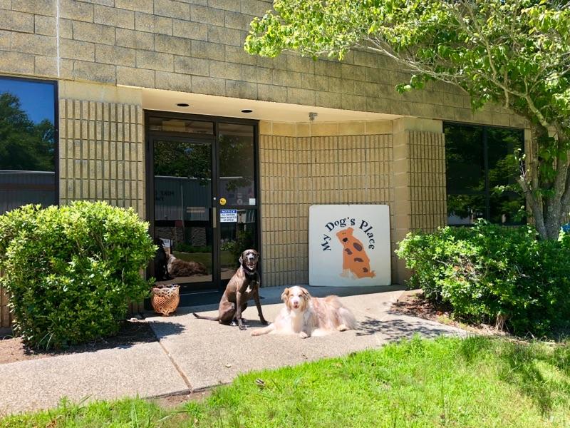 Contact My Dog's Place LLC East Lyme, CT 860-691-0078