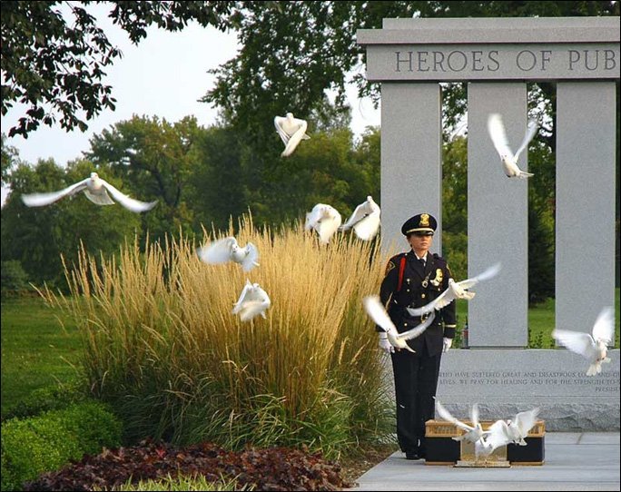 Funeral Doves Memorial Doves Marlton, NJ