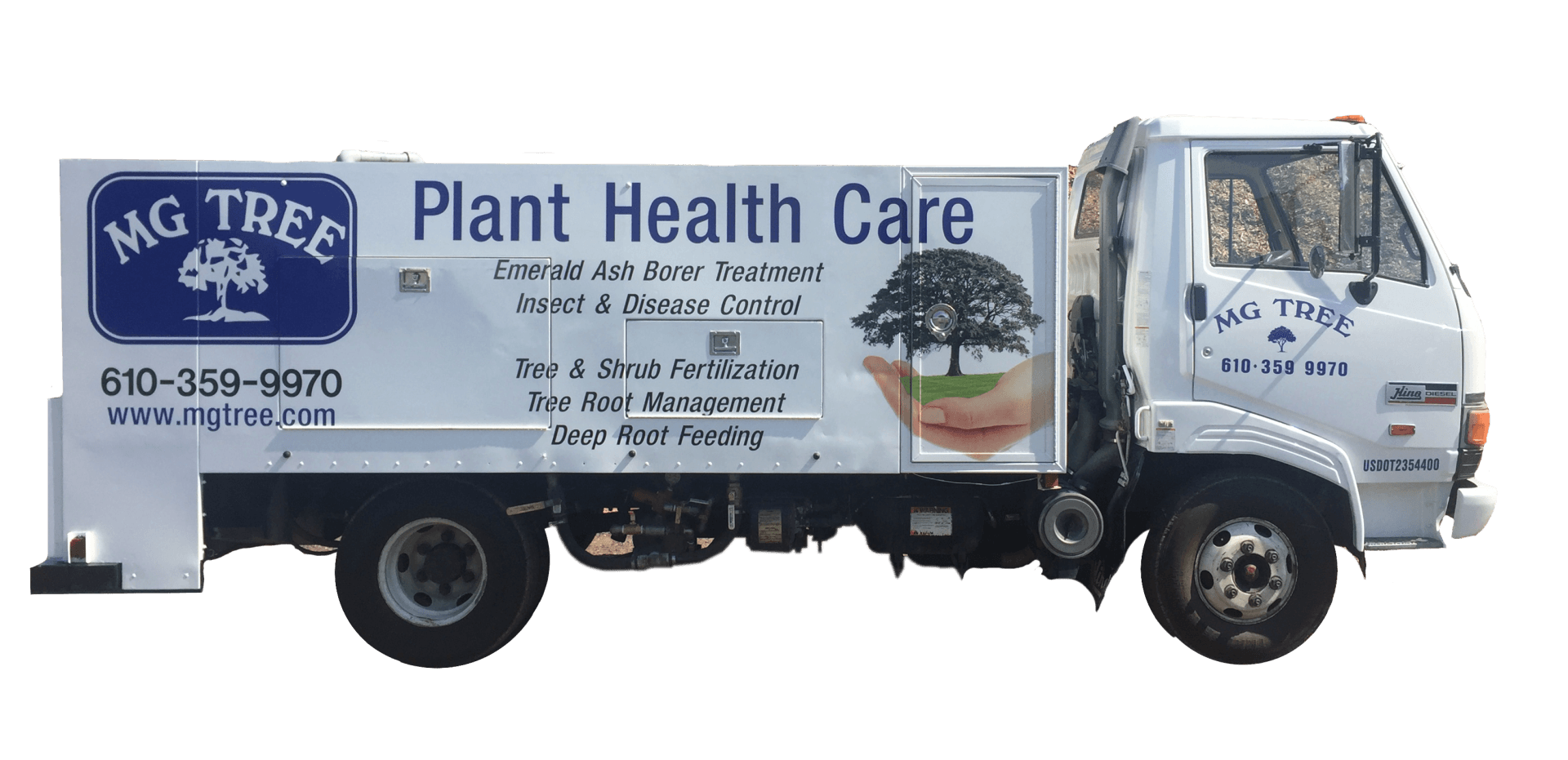 Plant Fertilization Trees and Shrubs Tree Doctor Broomall, PA