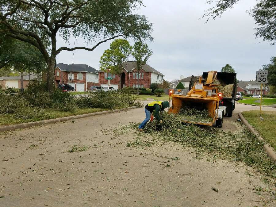 Olvera Lone Star Tree Service Removals Pruning Tomball TX