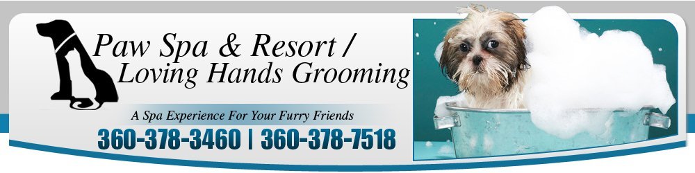 paw spa pet grooming