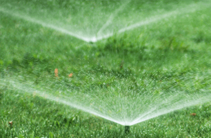 TURF & GARDEN, INC. | Lawn Maintenance | Chesapeake, VA