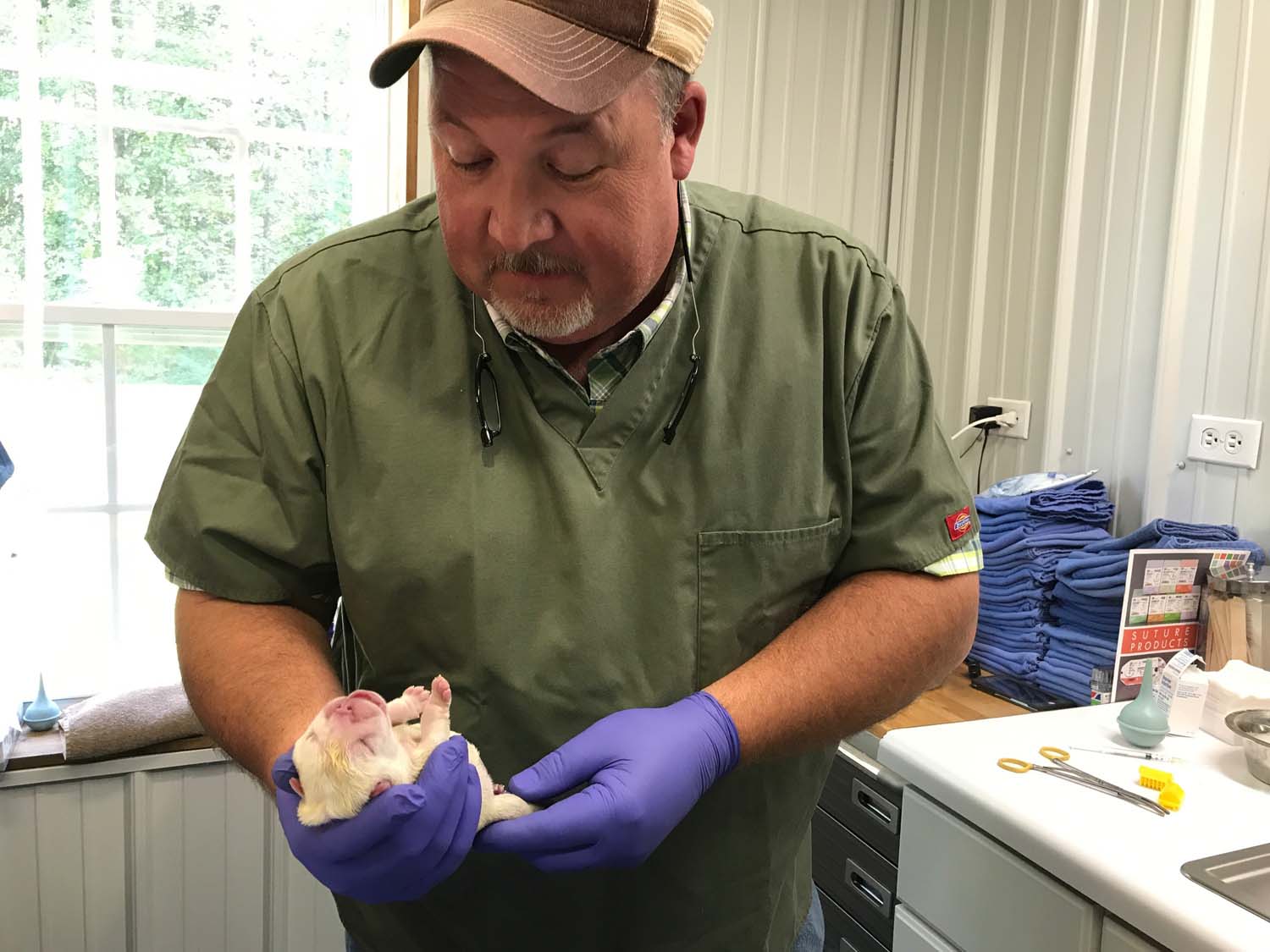 Pontotoc Animal Clinic Photo Gallery | Pontotoc, MS