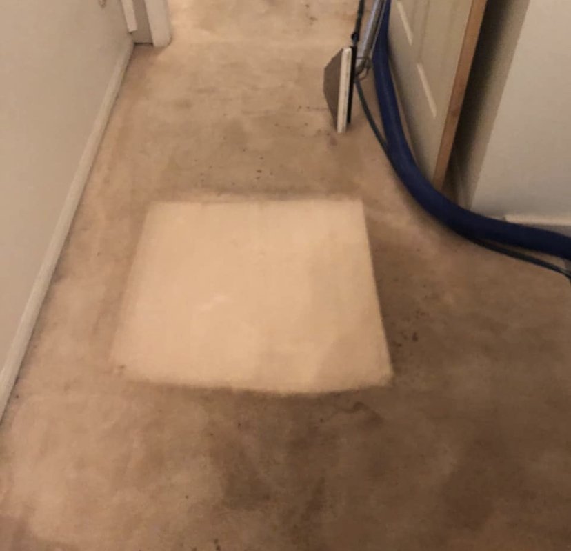 Residential Carpet Cleaning Carpet Cleaners Katy, TX