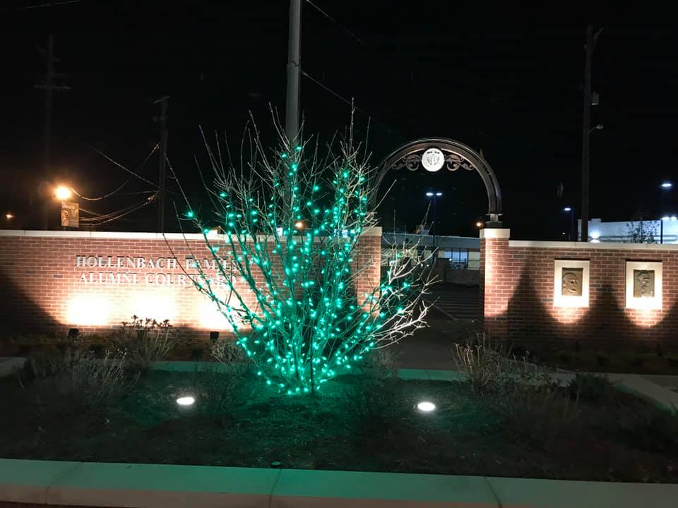 Landscape Lighting Company Portfolio Gallery Louisville KY