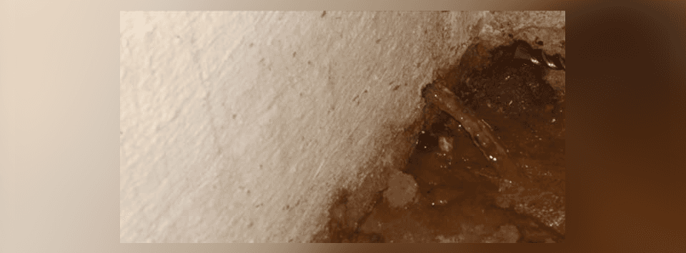 Basement Waterproofing Services Saint Croix Falls Top Notch Basement Waterproofing Services