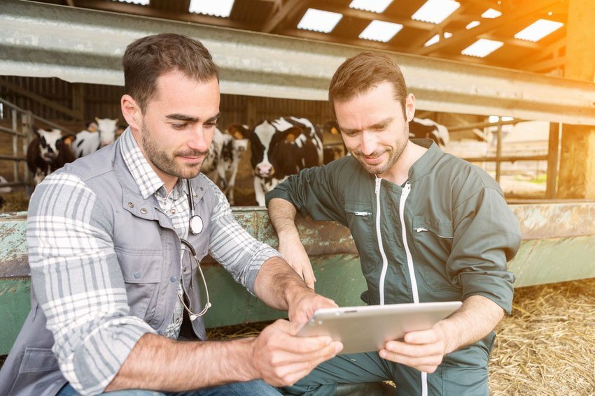Animal Care Animal Boarding Brandenburg, KY