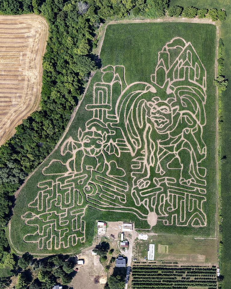 Coleman S Corn Maze Gallery Apple Picking Pumpkin Picking Saline Mi