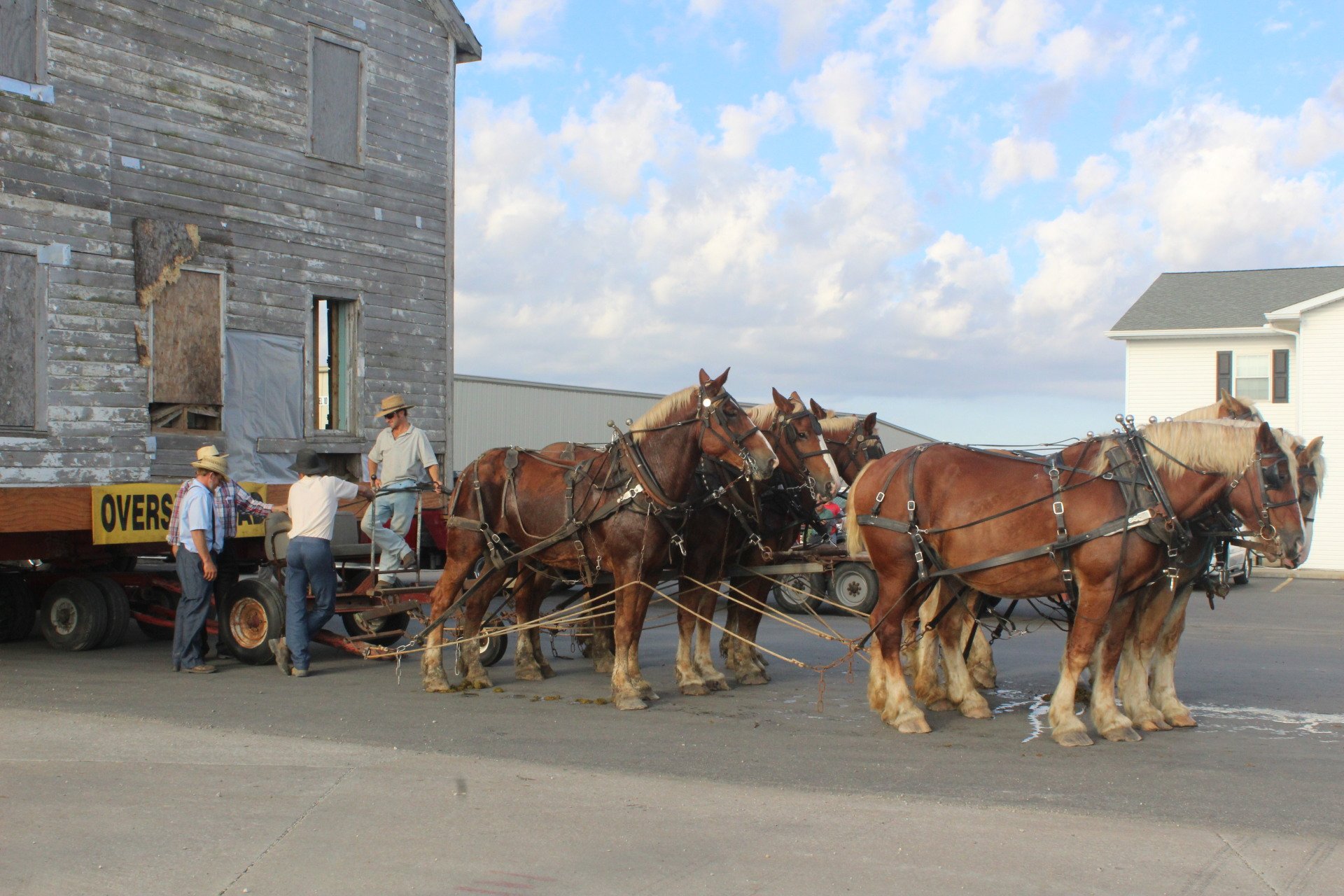 Amish Life Around Arcola Arcola Chamber of Commerce Arcola, IL