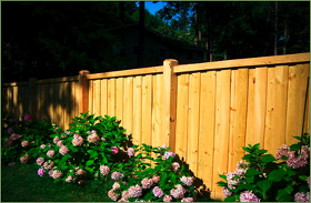 large_placeholder_images