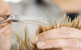 Hair cutting