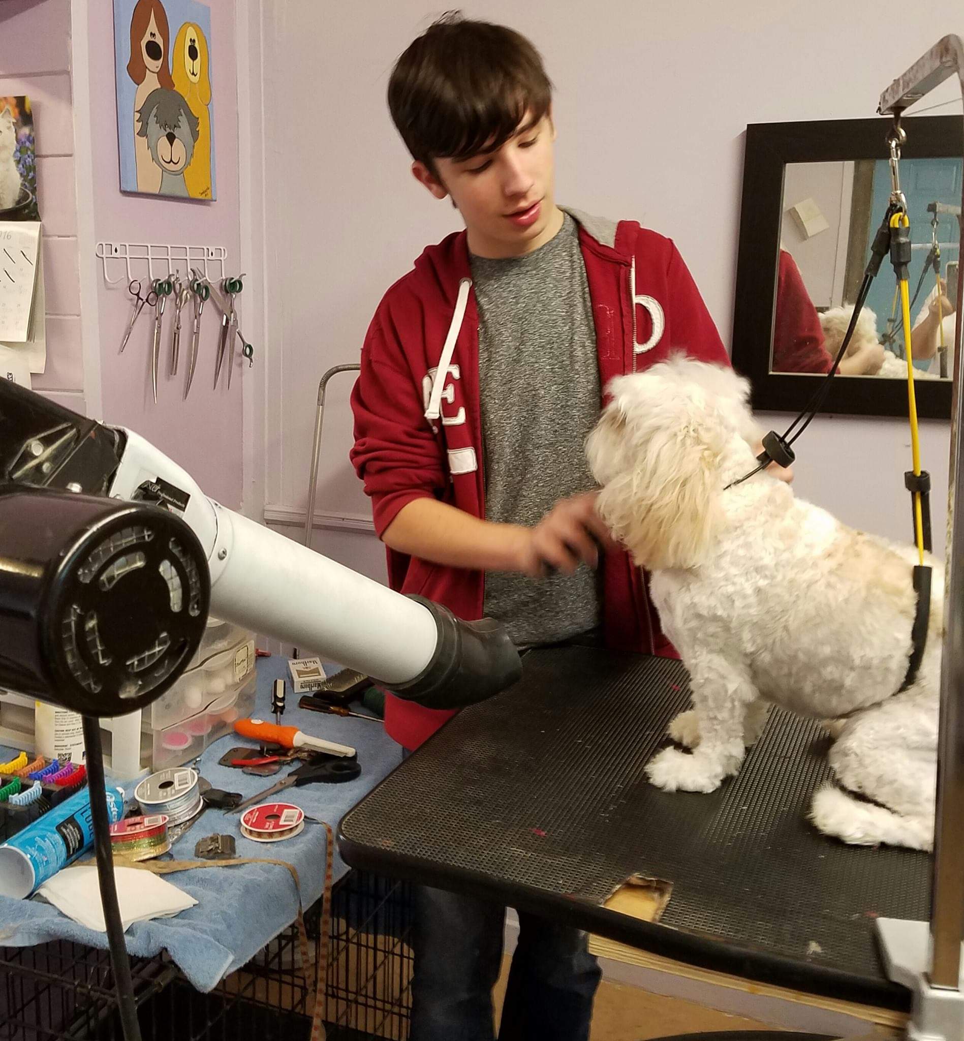 Clip N' Dip Pet Grooming Photo Gallery Kennesaw, GA