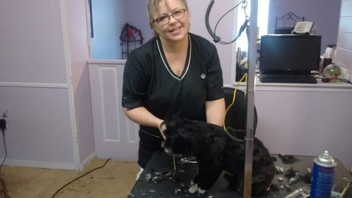 Clip N' Dip Pet Grooming Photo Gallery Kennesaw, GA