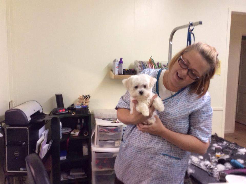 Clip N' Dip Pet Grooming Photo Gallery Kennesaw, GA