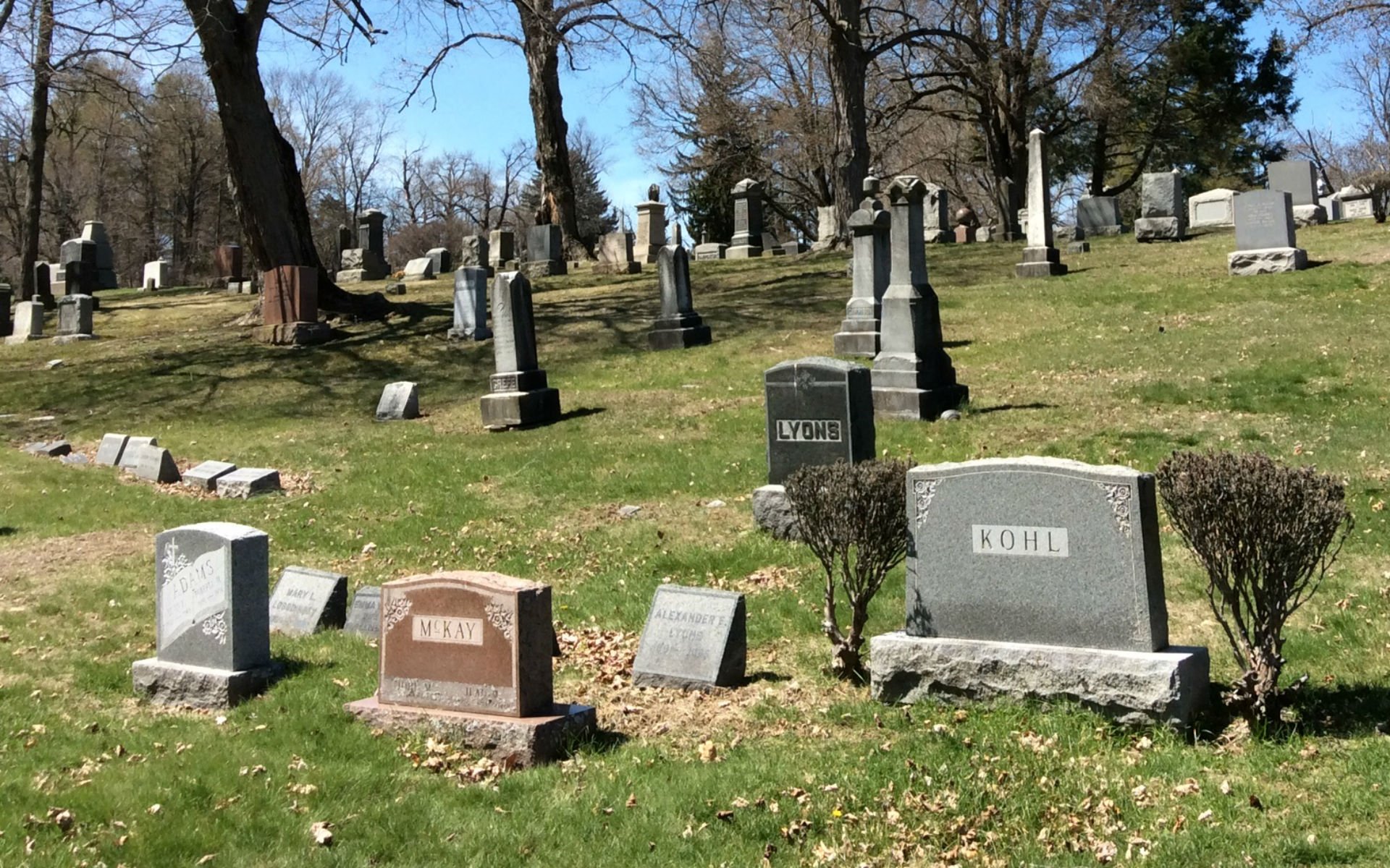 The Cedar Hill Cemetery Association Burial Newburgh NY