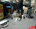 Sewing Supply - Grants Pass, OR - Plaza Quilting & Sewing Center - Fabric Shop