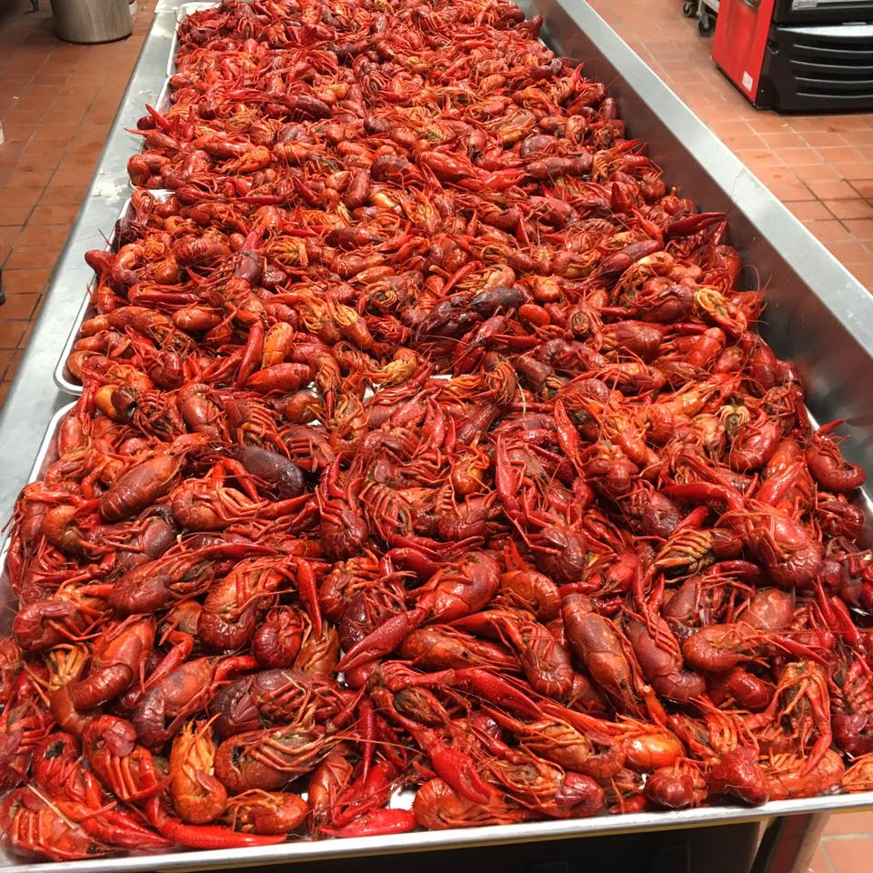 GALLERY - oceanstars50514851-734943-sml-2