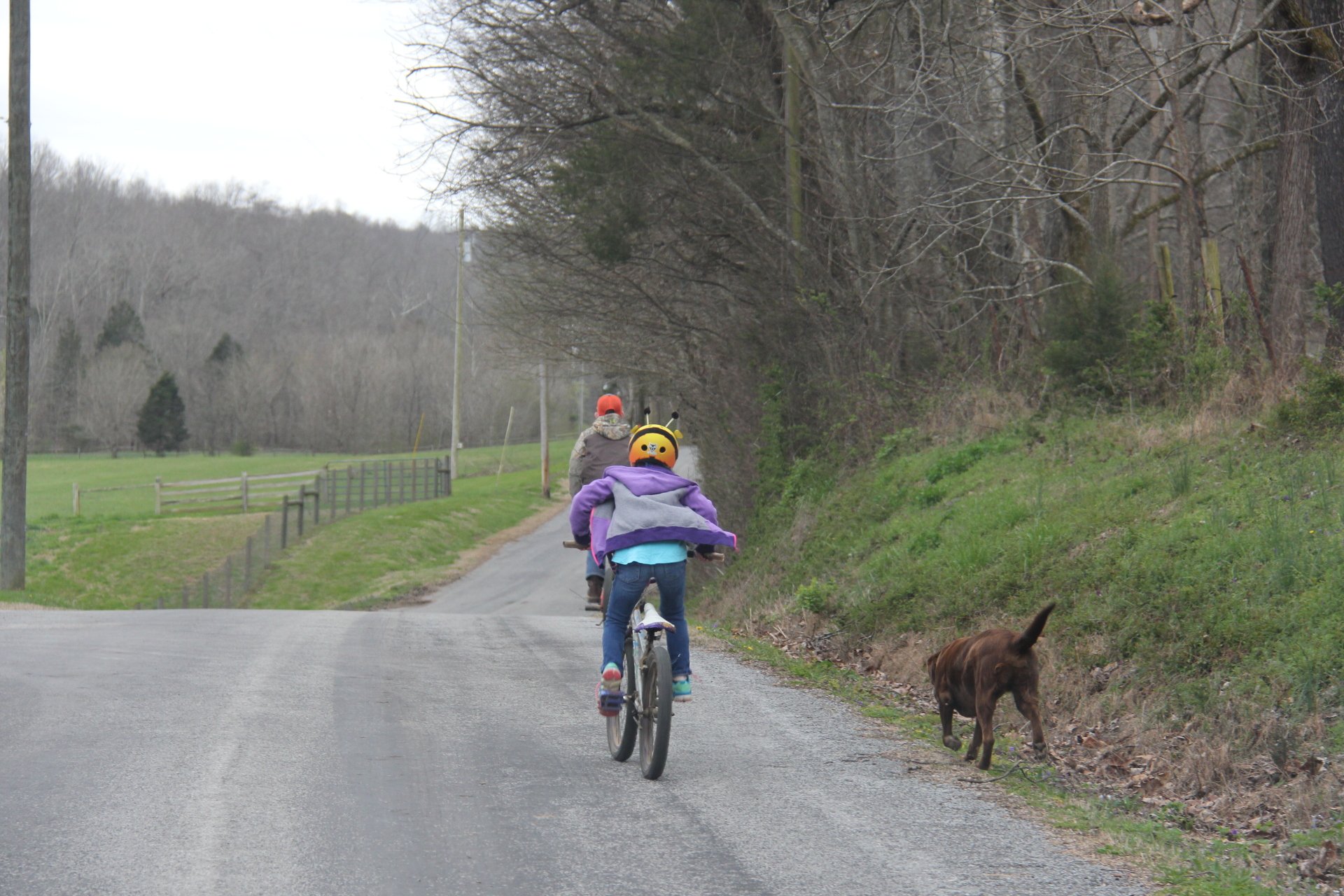 Poynor Septic Service l Photo Gallery Franklin, TN