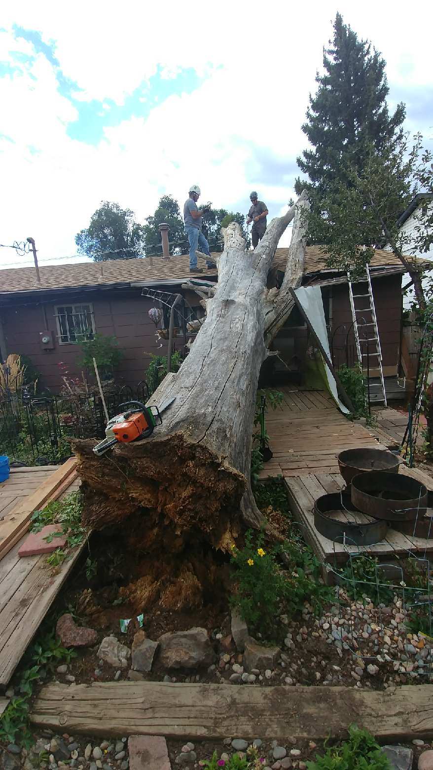 Emergency Tree Services Emergency Tree Removal