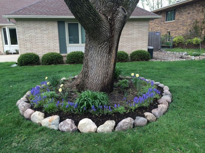 Solid Rock Landscaping LLC Tree Rings | Portfolio | West Des Moines