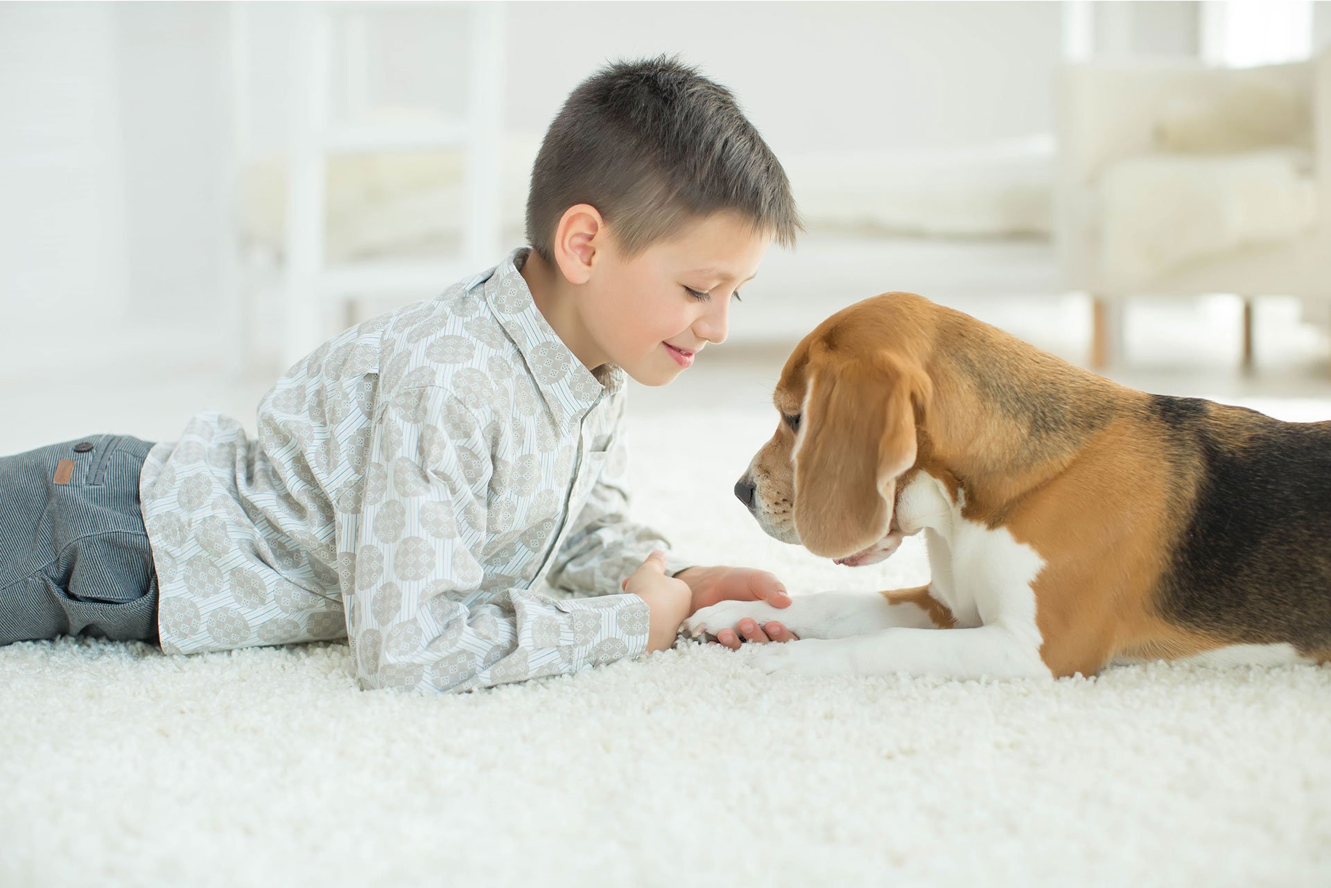 A Plus Carpet Cleaning Upholstery Cleaning Omaha, NE