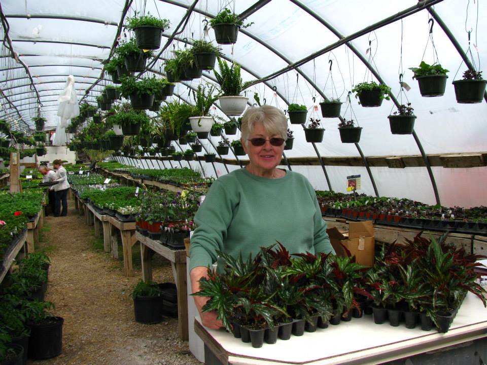 Geneva Lakes Produce Greenhouse & CSA Burlington, WI