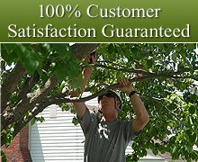 Lawn Care - Lancaster County, PA - Terry L. Kreider Lawn & Tree Service