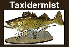 Taxidermy Services - Vicksburg, MS - Backwoods Taxidermy