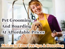 Pet Grooming - Menasha, WI - McLovin Your Pet Spa & Boarding