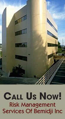 Insurance Professional - Bemidji, MN - Risk Management Services Of Bemidji Inc