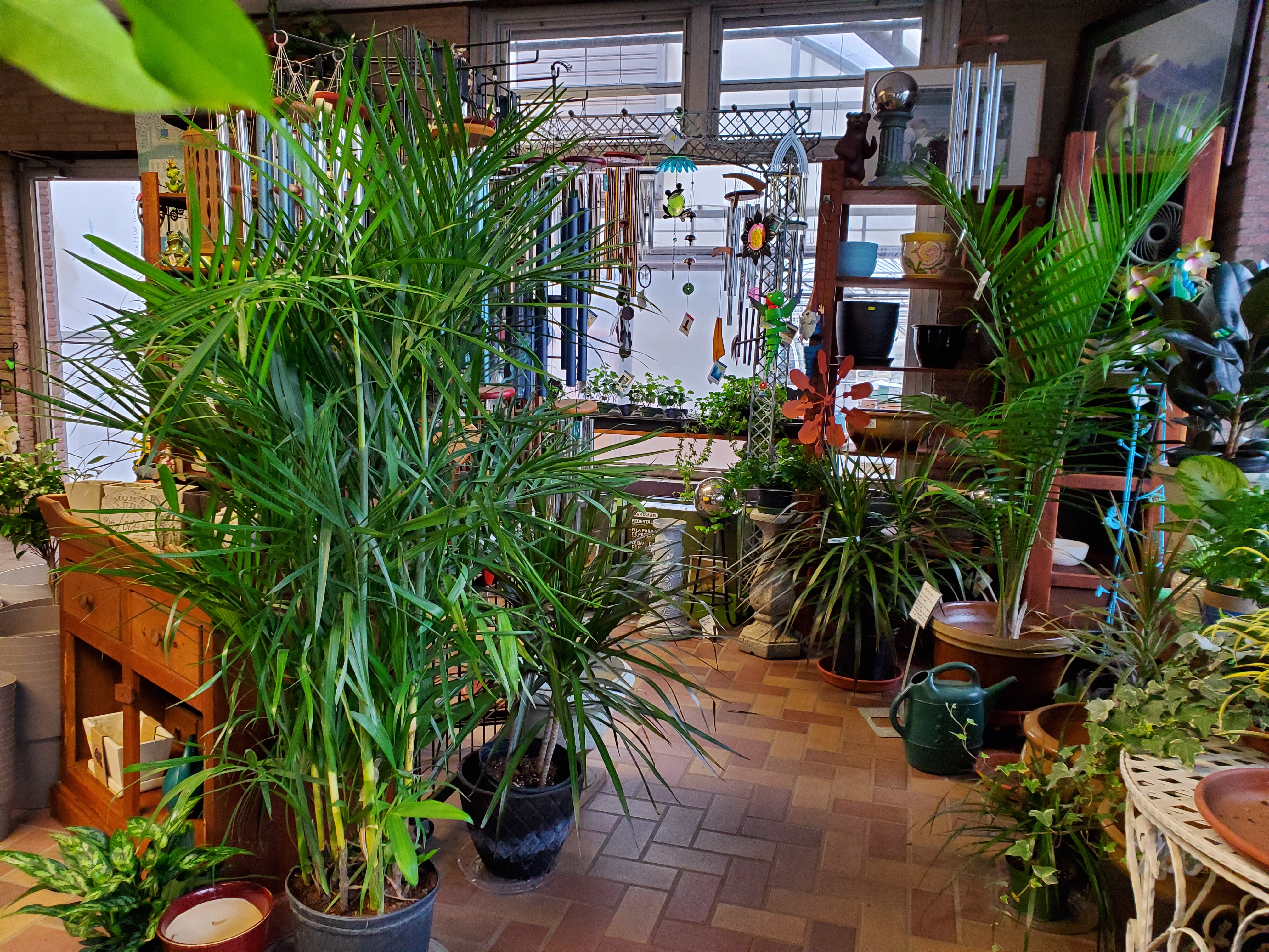 Gallery Bell Nurseries Inc