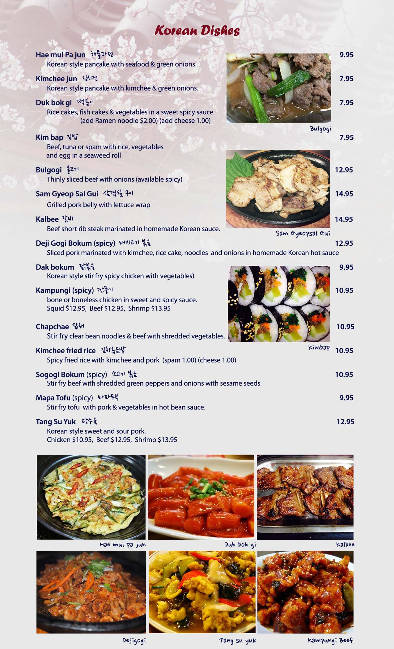 Charlie Kang's Chinese & Korean Cuisine Menu East Lansing,MI