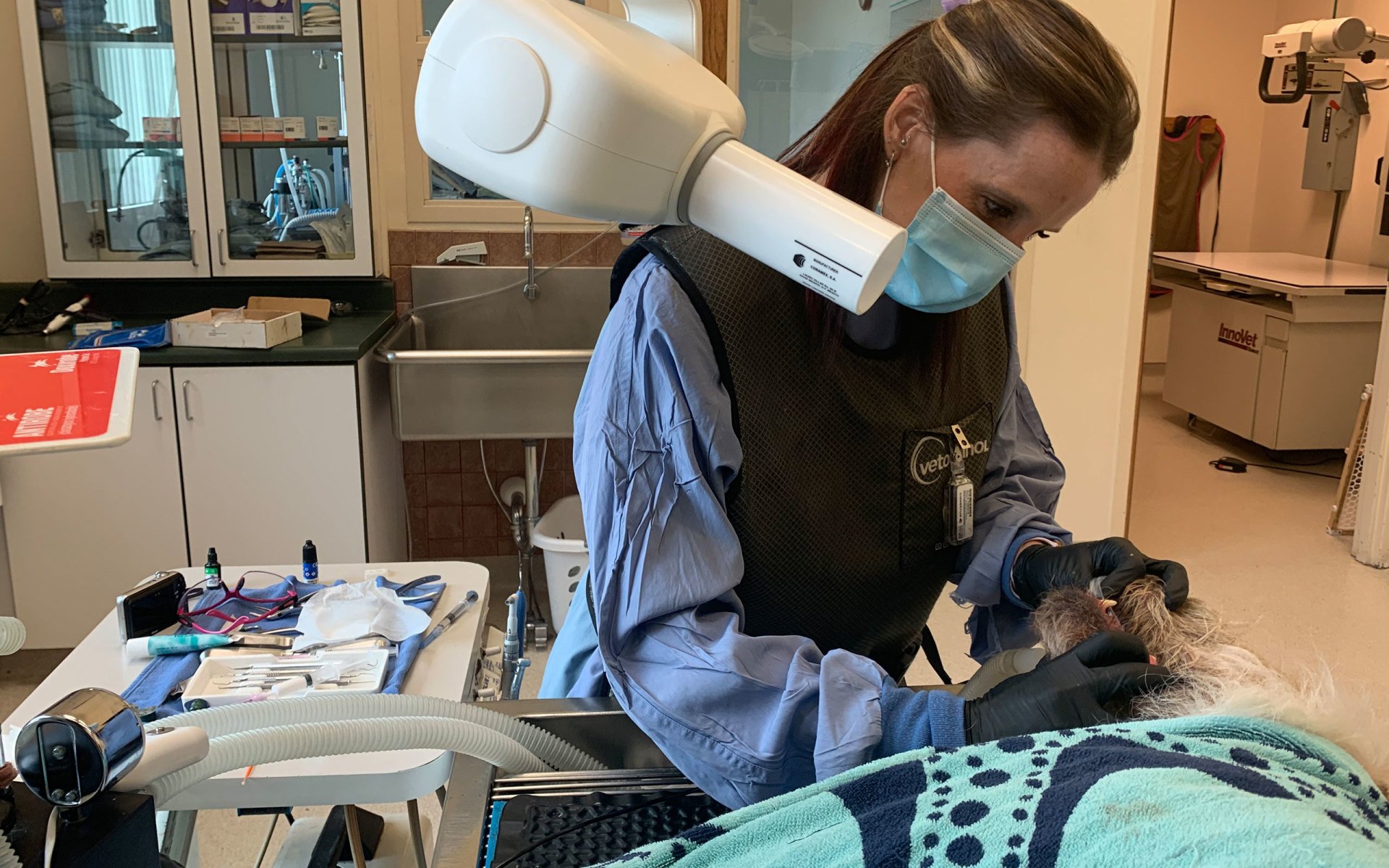 Fremont Veterinary Hospital Vet Services Canon City, CO