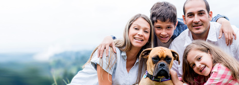 Rose Insurance Agency Murphy Nc Digitalflashnyc