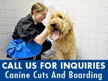 Pet Boarding - Eagle River, WI - Canine Cuts And Boarding