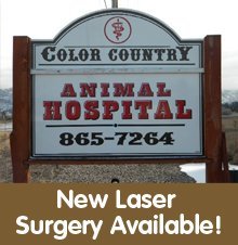 Animal Hospitals - Cedar City, UT - Color Country Animal Hospital