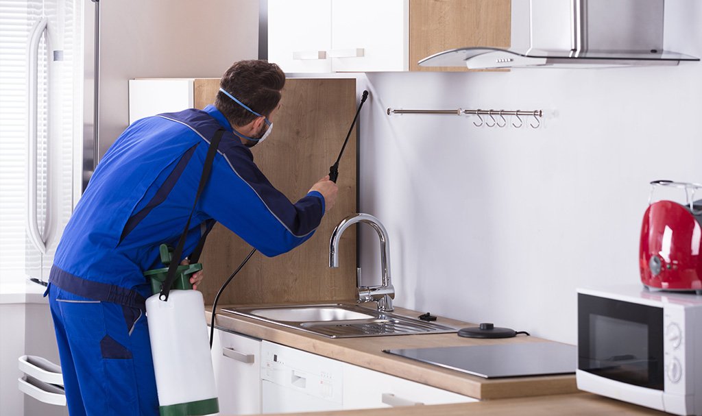 Daniel's Pest Control | Pest Removal | Mount Pleasant, TX