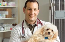 pet hospital - Rock Falls, IL - Advanced Animal Health Center