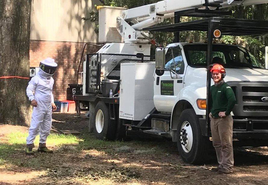 Tree Service in Gainesville, FL Evergreen Tree Company