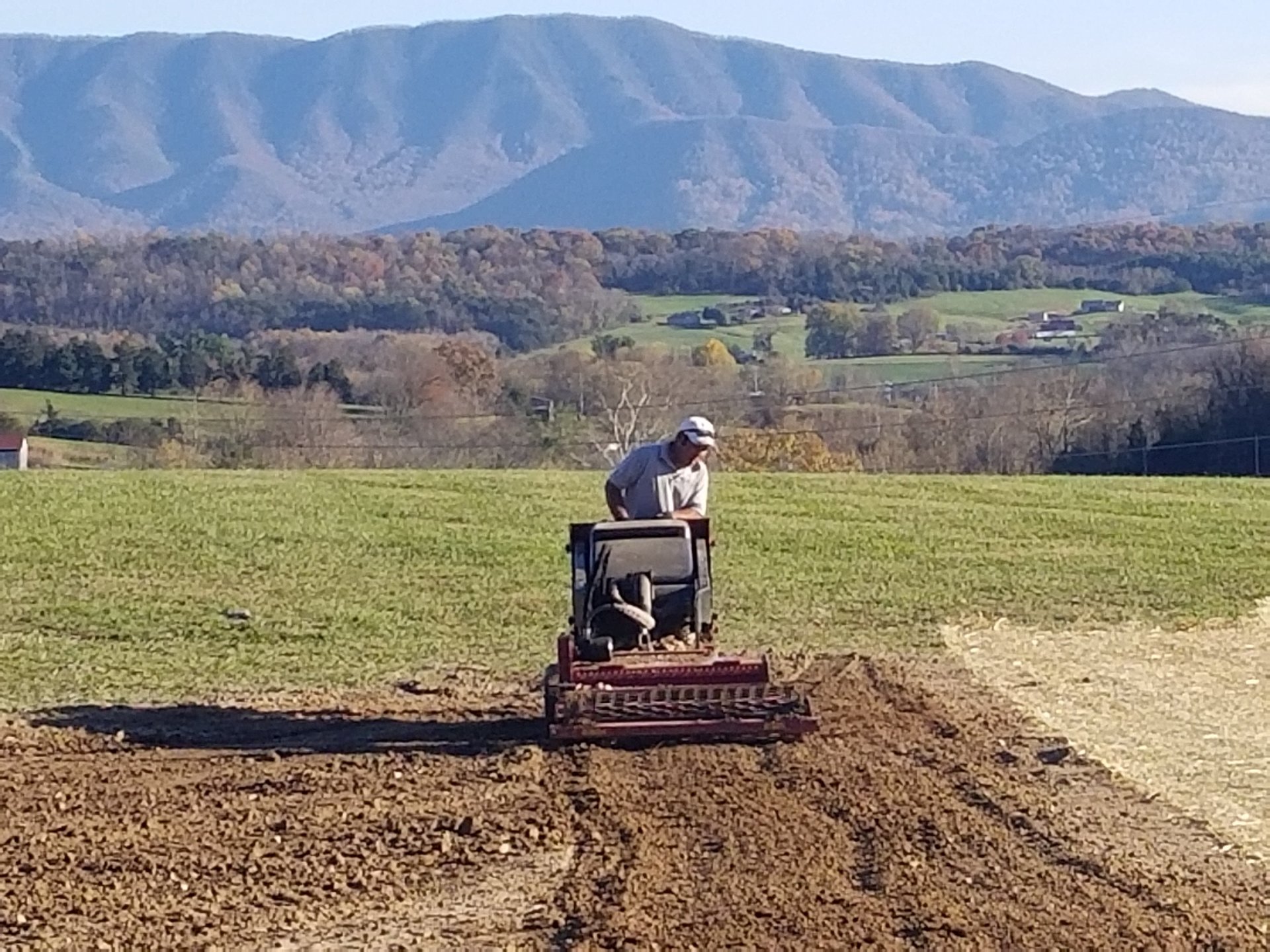 Logical Lawn Care & Landscape Design Greeneville, TN