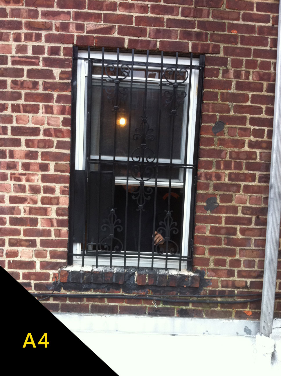 Window Gates Door Gates Window Bars Brooklyn, NY