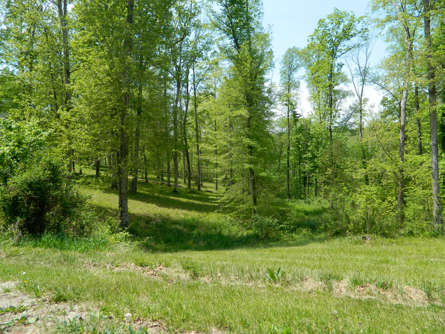 Land of Indiana Wooded Acreage Wooded Land for Sale Bedford, IN