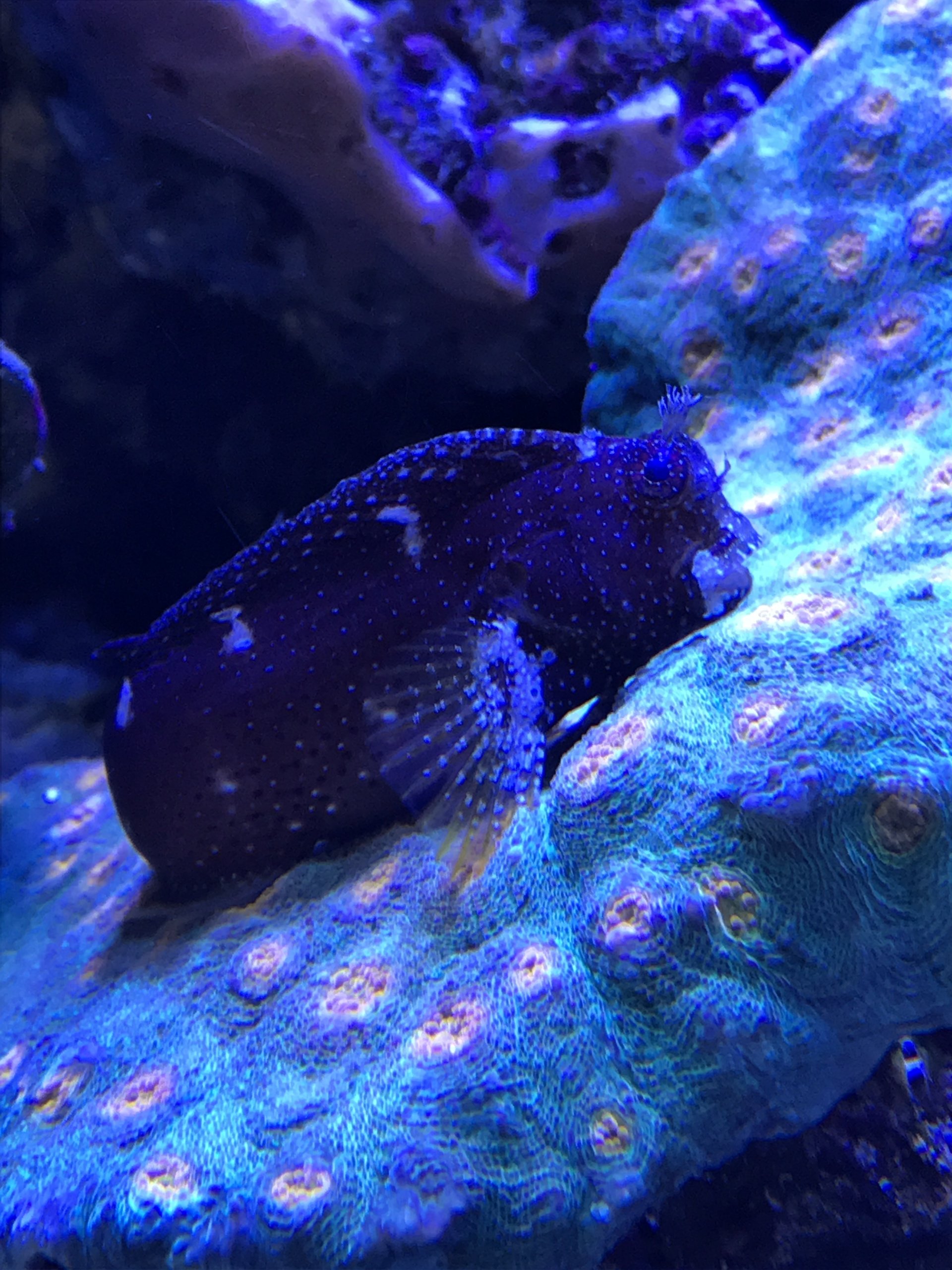 Aquariums Unlimited LLC Tour Our Store