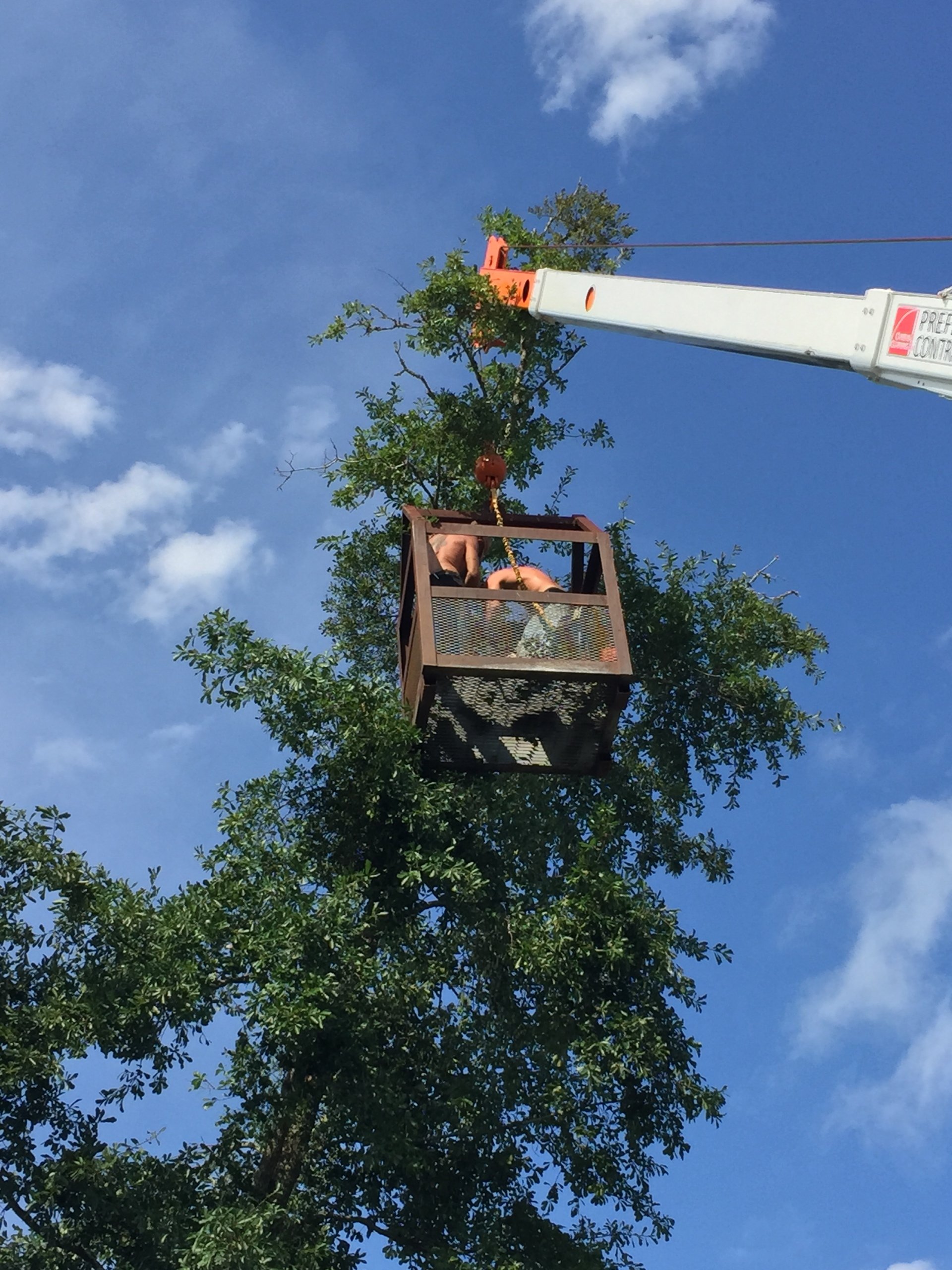 Custom Roofing Company Gallery Kingsland, GA Roofer