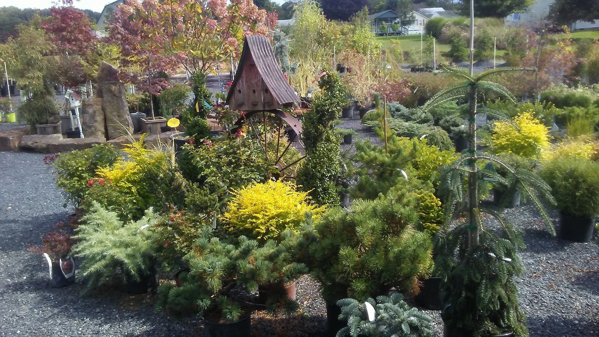 Stone House Nursery & Landscaping McVeytown, PA