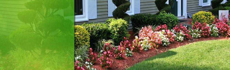 Gardening Houston Tx Jackson Jackson Landscaping Llc