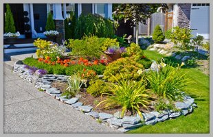 jackson jackson landscaping llc lawn care houston tx