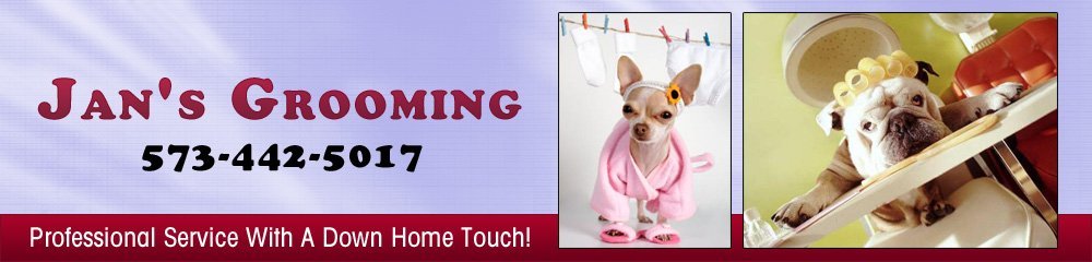 dog grooming columbia mo dog grooming columbia mo