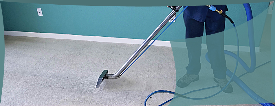 Mystic Steam Carpet Upholstery Cleaning Cleaner Long Beach Carpet Cleaning Service
